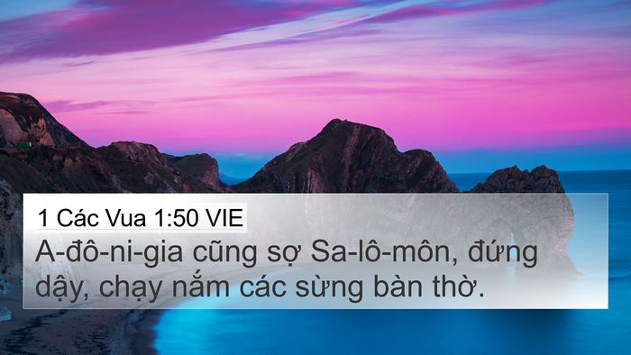 1 Các Vua 1:50 VIE Bible Verse Image