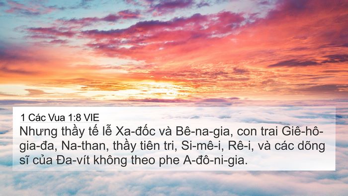 1 Các Vua 1:8 VIE Bible Verse Image