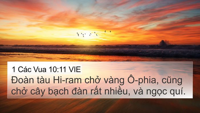 1 Các Vua 10:11 VIE 4K Wallpaper - Đoàn tàu Hi-ram chở vàng Ô-phia, cũng - 4K Wallpaper Bible Verse