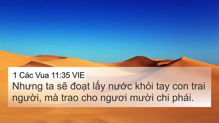 1 Các Vua 11:35 VIE 4K Wallpaper - Nhưng ta sẽ đoạt lấy nước khỏi tay - 4K Wallpaper Bible Verse