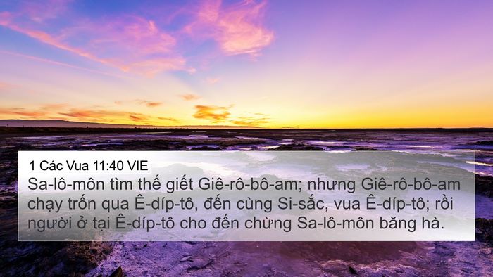 1 Các Vua 11:40 VIE Bible Verse Image