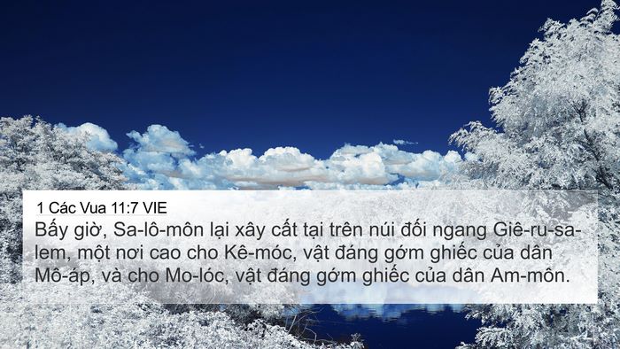 1 Các Vua 11:7 VIE Bible Verse Image