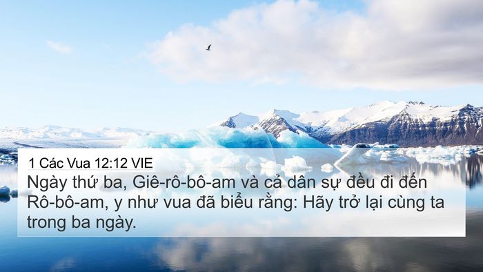 1 Các Vua 12:12 VIE Bible Verse Image