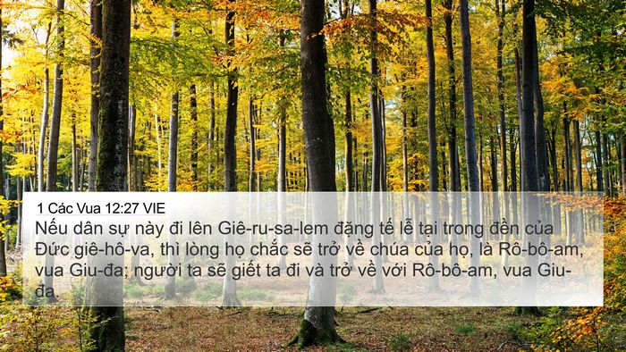 1 Các Vua 12:27 VIE Bible Verse Image