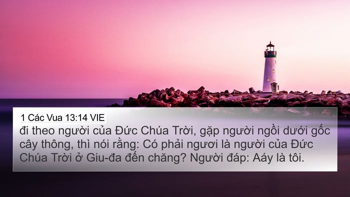 1 Các Vua 13:14 VIE 4K Wallpaper - đi theo người của Đức Chúa Trời, - 4K Wallpaper Bible Verse