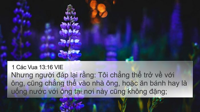 1 Các Vua 13:16 VIE Bible Verse Image