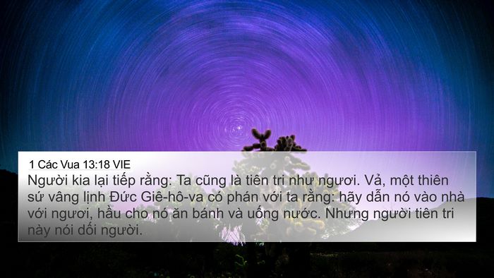 1 Các Vua 13:18 VIE Bible Verse Image