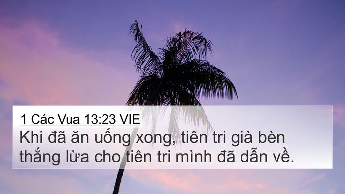 1 Các Vua 13:23 VIE Bible Verse Image