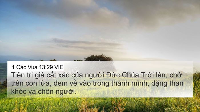 1 Các Vua 13:29 VIE Bible Verse Image