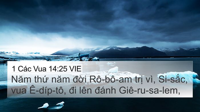 1 Các Vua 14:25 VIE Bible Verse Image