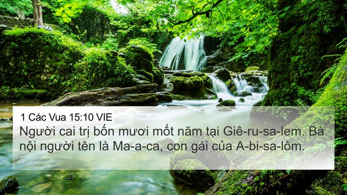 1 Các Vua 15:10 VIE 4K Wallpaper - Người cai trị bốn mươi mốt năm tại - 4K Wallpaper Bible Verse