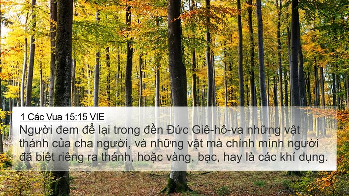 1 Các Vua 15:15 VIE Bible Verse Image