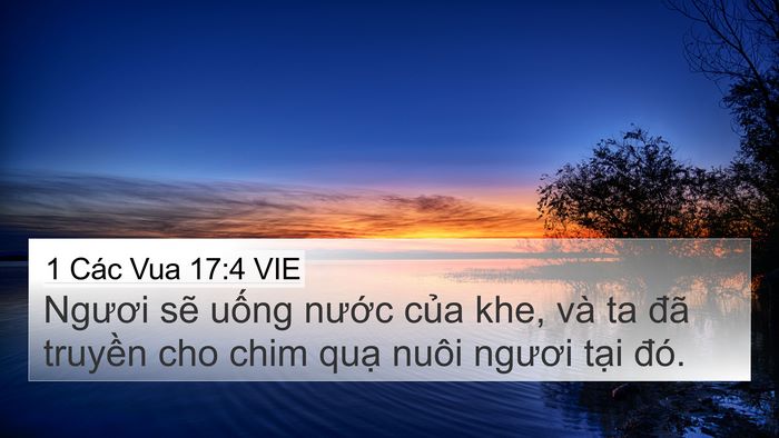 1 Các Vua 17:4 VIE Bible Verse Image