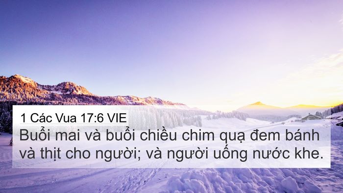 1 Các Vua 17:6 VIE Bible Verse Image