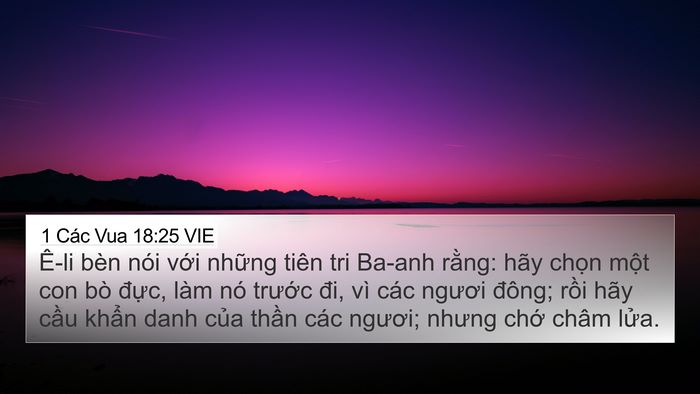 1 Các Vua 18:25 VIE Bible Verse Image