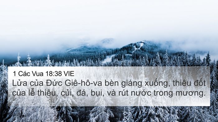 1 Các Vua 18:38 VIE Bible Verse Image