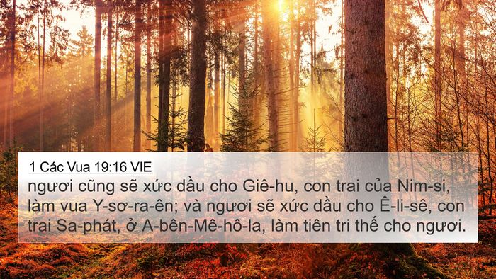 1 Các Vua 19:16 VIE Bible Verse Image