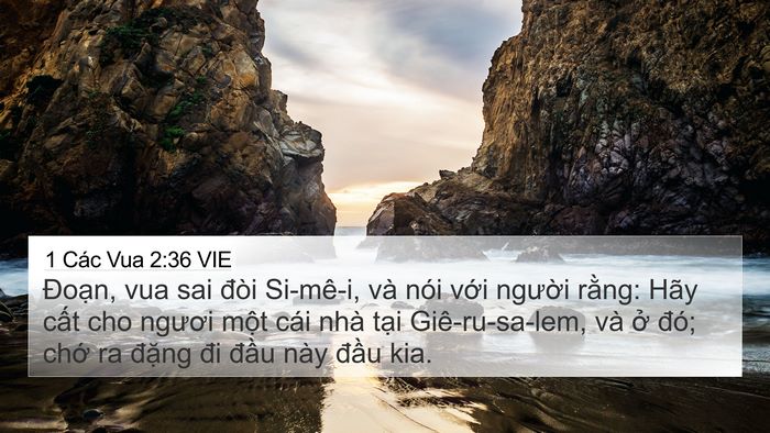 1 Các Vua 2:36 VIE Bible Verse Image