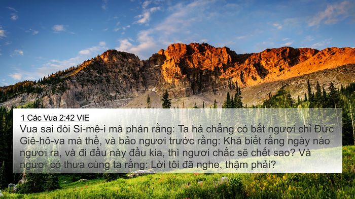 1 Các Vua 2:42 VIE Bible Verse Image
