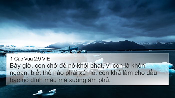 1 Các Vua 2:9 VIE Bible Verse Image