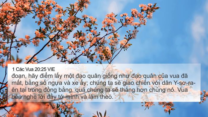 1 Các Vua 20:25 VIE 4K Wallpaper - đoạn, hãy điểm lấy một đạo quân - 4K Wallpaper Bible Verse