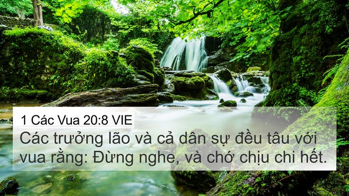 1 Các Vua 20:8 VIE 4K Wallpaper - Các trưởng lão và cả dân sự đều - 4K Wallpaper Bible Verse