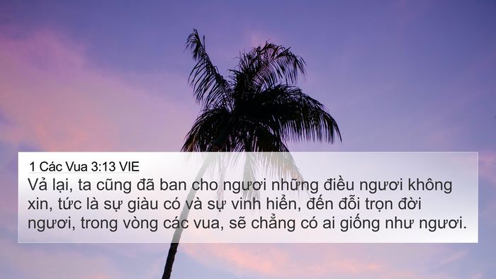 1 Các Vua 3:13 VIE Bible Verse Image