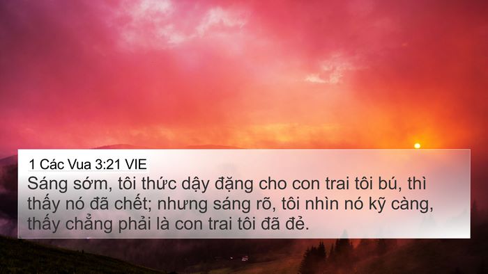 1 Các Vua 3:21 VIE 4K Wallpaper - Sáng sớm, tôi thức dậy đặng cho con - 4K Wallpaper Bible Verse