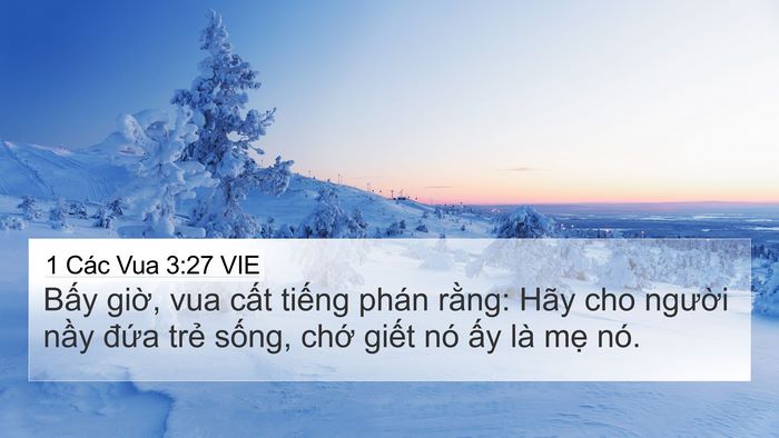 1 Các Vua 3:27 VIE 4K Wallpaper - Bấy giờ, vua cất tiếng phán rằng: Hãy - 4K Wallpaper Bible Verse