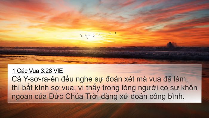 1 Các Vua 3:28 VIE Bible Verse Image