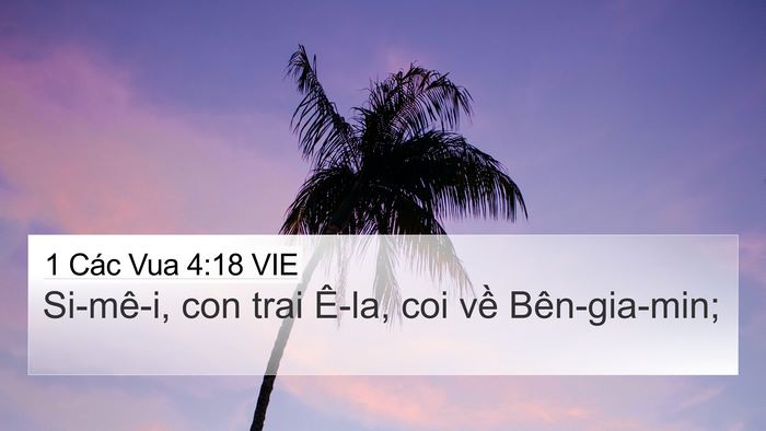 1 Các Vua 4:18 VIE 4K Wallpaper - Si-mê-i, con trai Ê-la, coi về - 4K Wallpaper Bible Verse