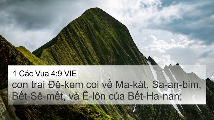 1 Các Vua 4:9 VIE Bible Verse Image