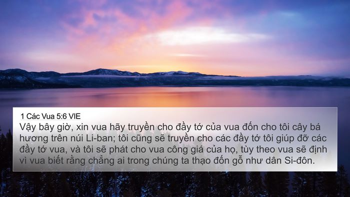 1 Các Vua 5:6 VIE Bible Verse Image