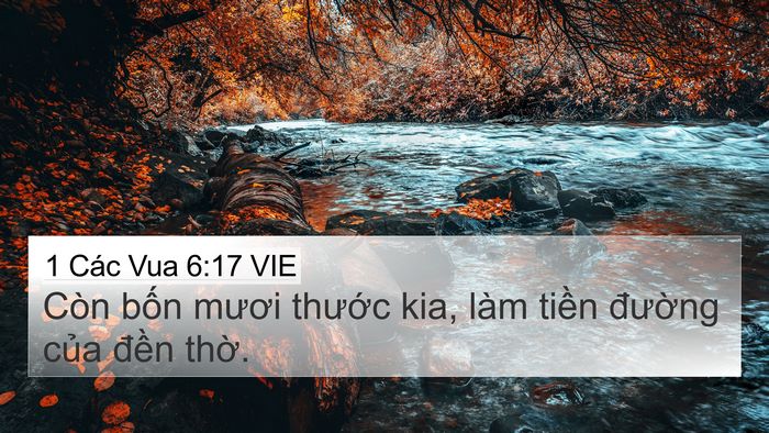 1 Các Vua 6:17 VIE 4K Wallpaper - Còn bốn mươi thước kia, làm tiền - 4K Wallpaper Bible Verse