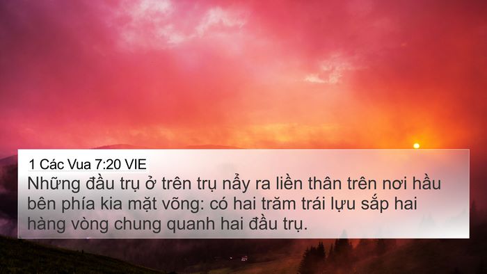 1 Các Vua 7:20 VIE Bible Verse Image