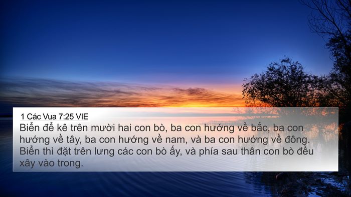 1 Các Vua 7:25 VIE Bible Verse Image