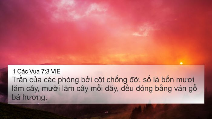1 Các Vua 7:3 VIE 4K Wallpaper - Trần của các phòng bởi cột chống - 4K Wallpaper Bible Verse