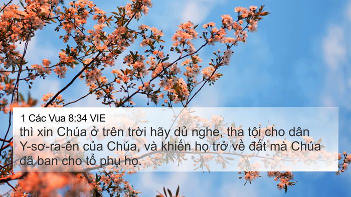 1 Các Vua 8:34 VIE Bible Verse Image