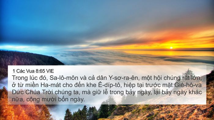 1 Các Vua 8:65 VIE Bible Verse Image