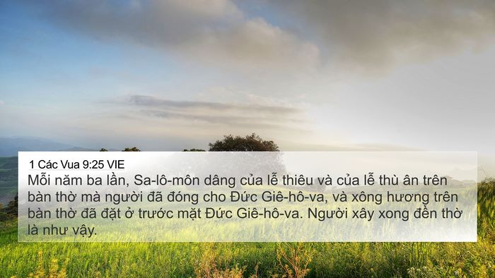 1 Các Vua 9:25 VIE Bible Verse Image