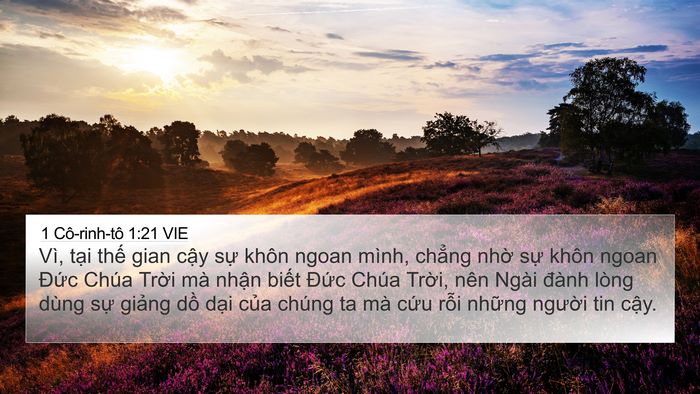 1 Cô-rinh-tô 1:21 VIE Bible Verse Image