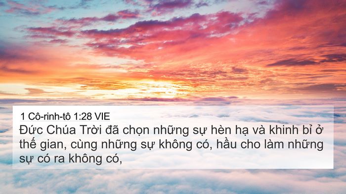 1 Cô-rinh-tô 1:28 VIE Bible Verse Image