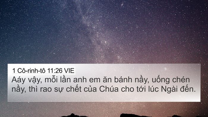 1 Cô-rinh-tô 11:26 VIE 4K Wallpaper - Aáy vậy, mỗi lần anh em ăn bánh nầy, - 4K Wallpaper Bible Verse