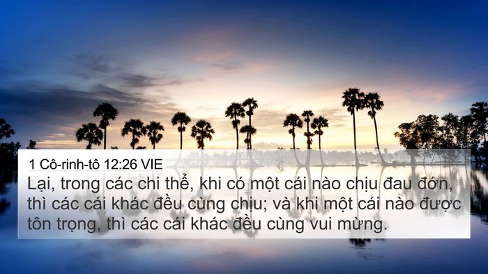 1 Cô-rinh-tô 12:26 VIE Bible Verse Image