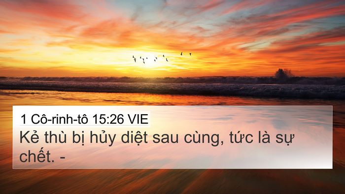 1 Cô-rinh-tô 15:26 VIE Bible Verse Image