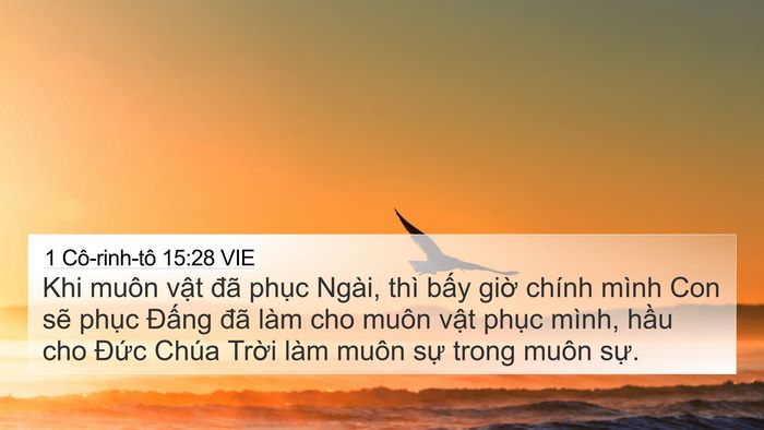 1 Cô-rinh-tô 15:28 VIE Bible Verse Image