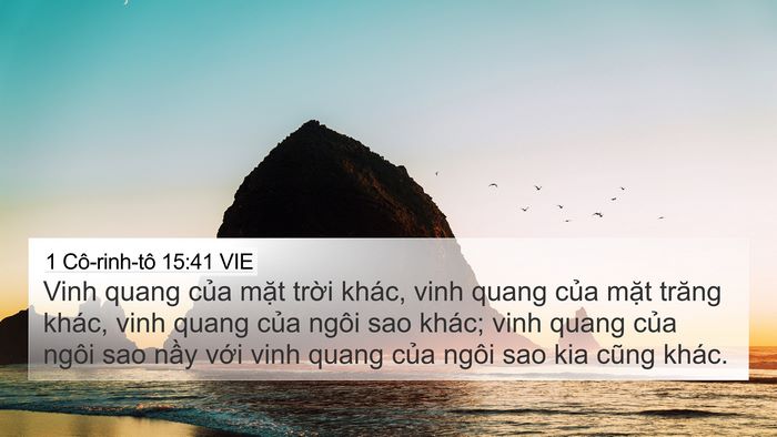 1 Cô-rinh-tô 15:41 VIE Bible Verse Image