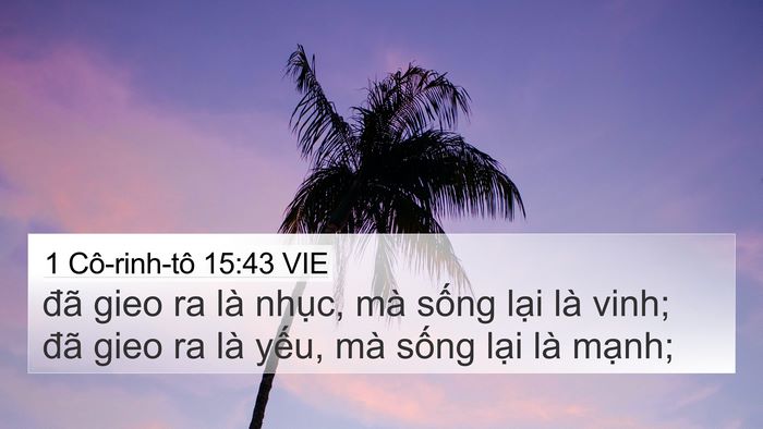 1 Cô-rinh-tô 15:43 VIE Bible Verse Image