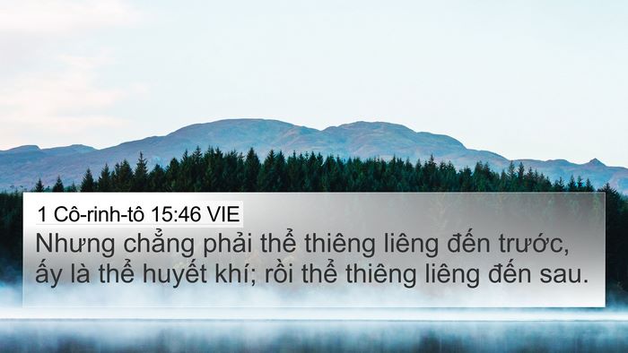 1 Cô-rinh-tô 15:46 VIE Bible Verse Image