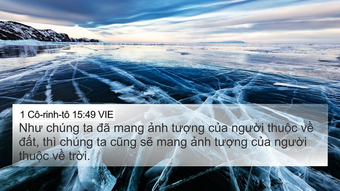 1 Cô-rinh-tô 15:49 VIE Bible Verse Image